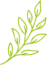 Leaf Decoration