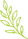 Leaf Decoration